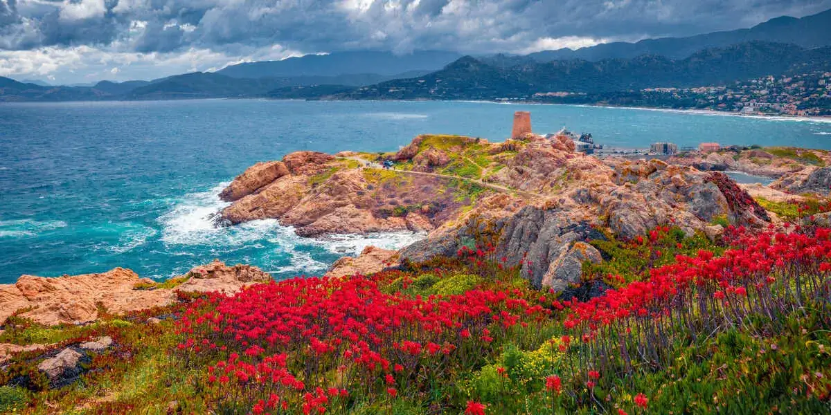 Ile kosztuje prom na Korsykę? Ceny biletów i porady na podróż