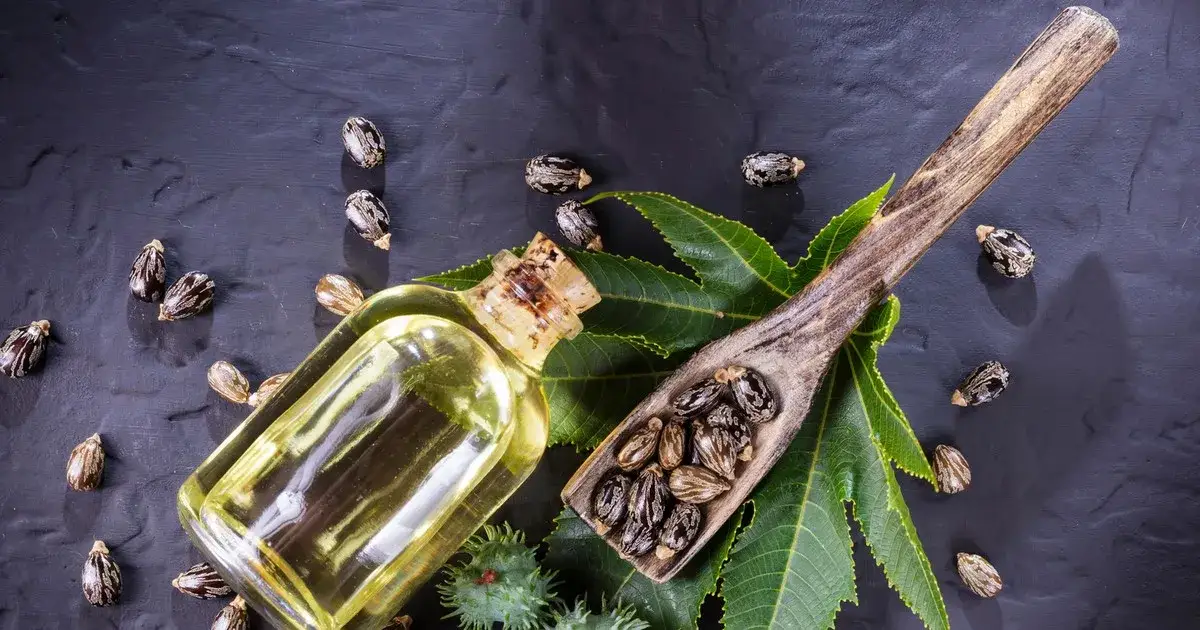 Olejek rycynowy na brwi – efekty po jakim czasie zauważysz zmiany?