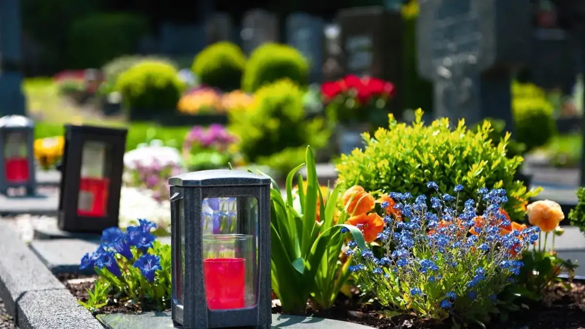 Jakie kwiaty doniczkowe na cmentarz - piękne i trwałe wybory