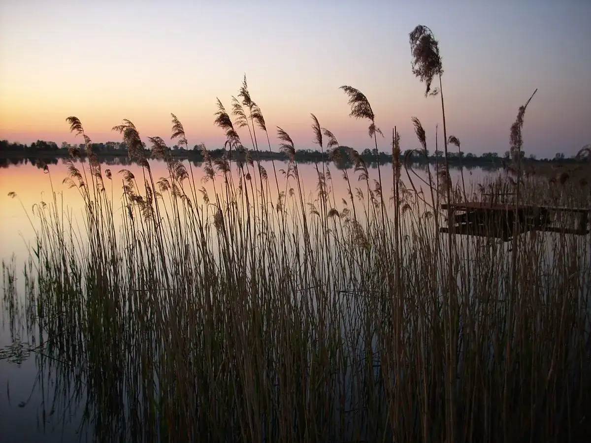 Jezioro Białe Uścimowskie: idealne miejsce na wędkowanie i relaks