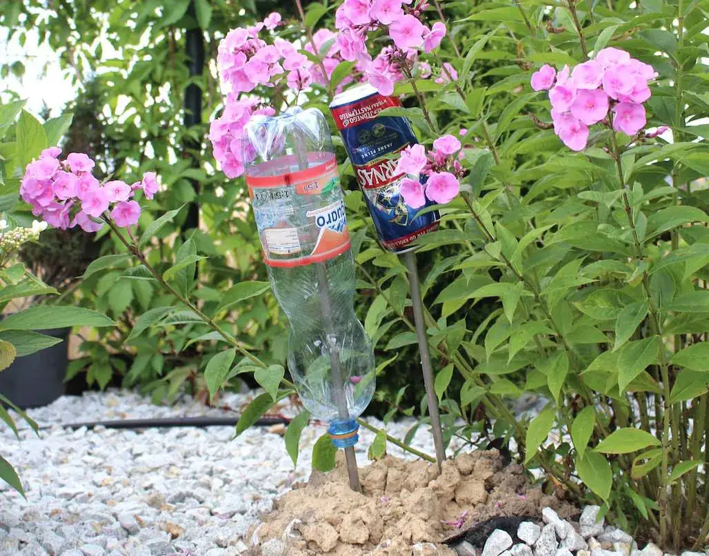 Jak pozbyć się niechcianego gościa z domu bez nieprzyjemnych sytuacji