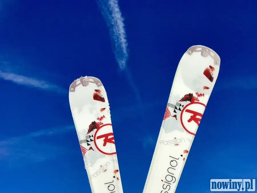 Jakie są kluczowe różnice między nartami damskimi a męskimi?