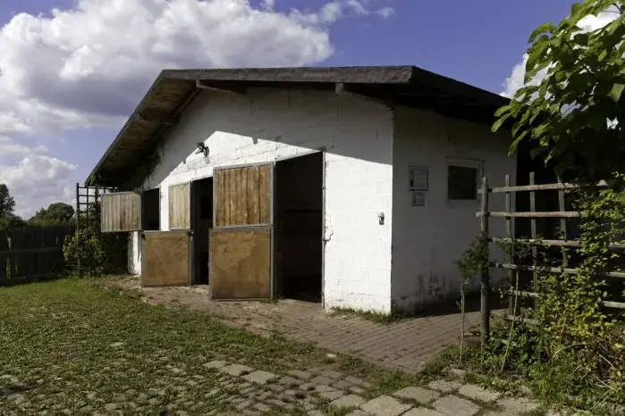 Najlepsze stadniny koni w Częstochowie - gdzie warto jeździć?