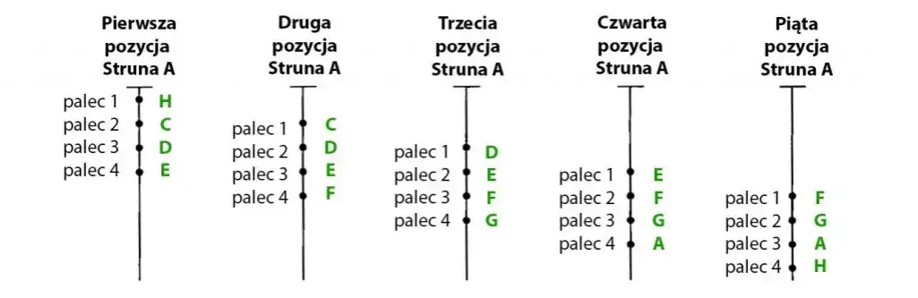 Ile jest pozycji na skrzypcach i jak je skutecznie opanować