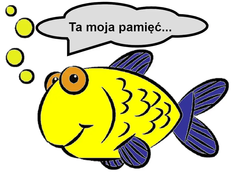 Pamięć złotej rybki ile trwa? Fakty, które zaskoczą każdego