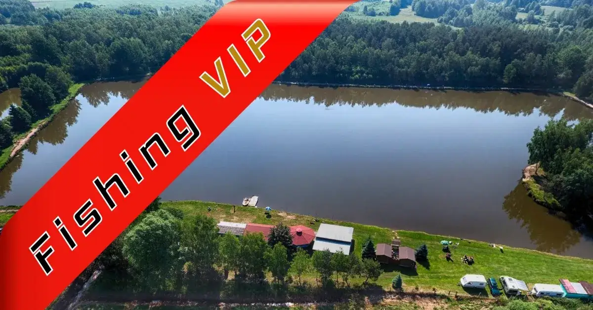 Łowisko Łazy - idealne miejsce na wędkowanie i relaks w naturze