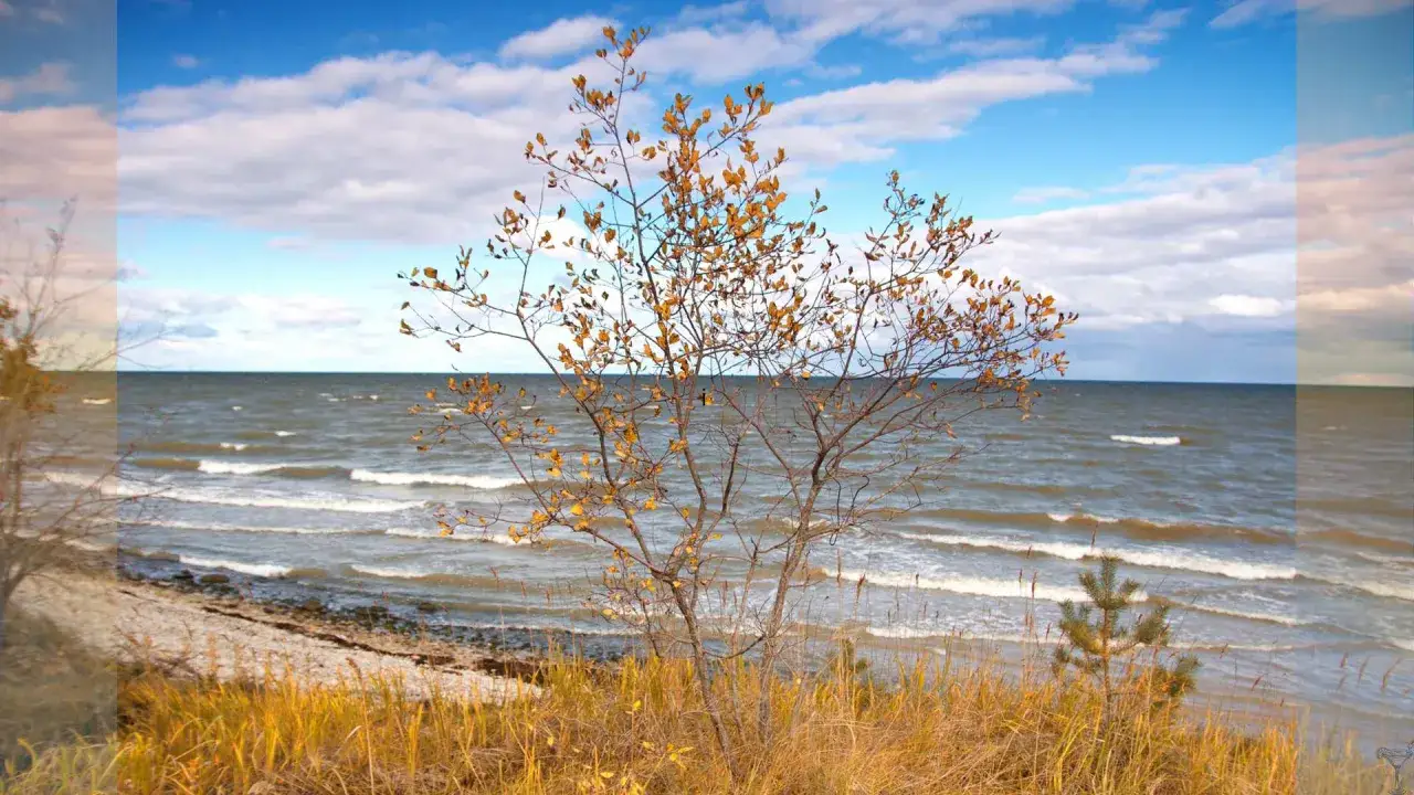 Kiedy najlepiej jechać nad morze po jod, aby zadbać o zdrowie?