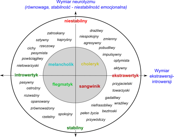 Kim jest introwertyk? Cechy, zalety i funkcjonowanie w świecie