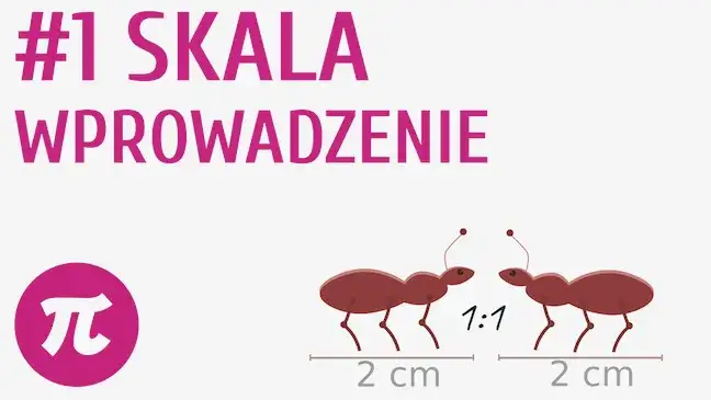 Co to jest skala w matematyce? Zrozumienie i zastosowanie w praktyce