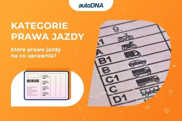 Ile naprawdę kosztuje prawo jazdy kategorii D? Sprawdź pełne koszty i oszczędności