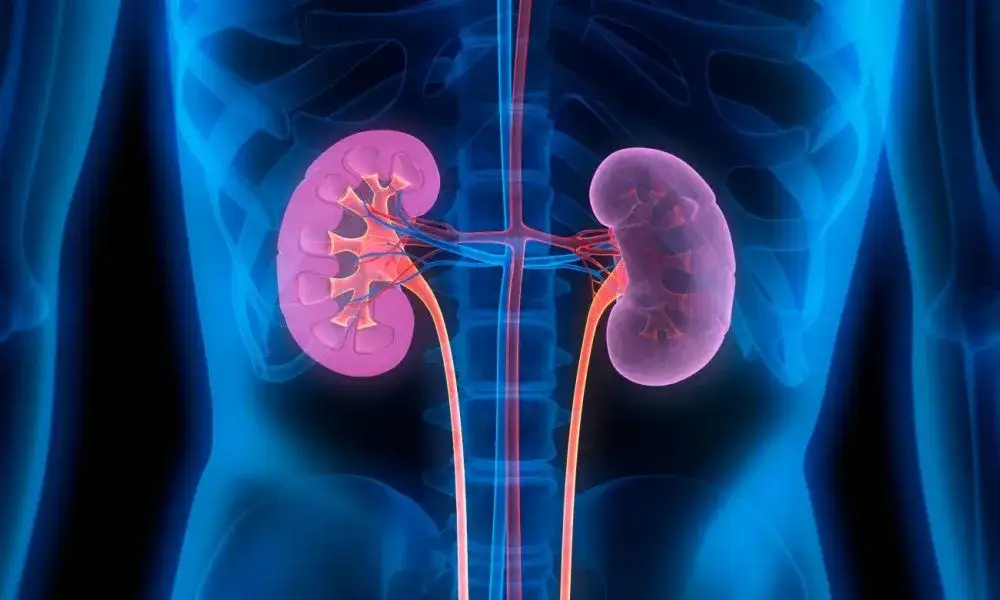 Kto leczy nerki? Nefrolog i jego rola w diagnozowaniu chorób nerek