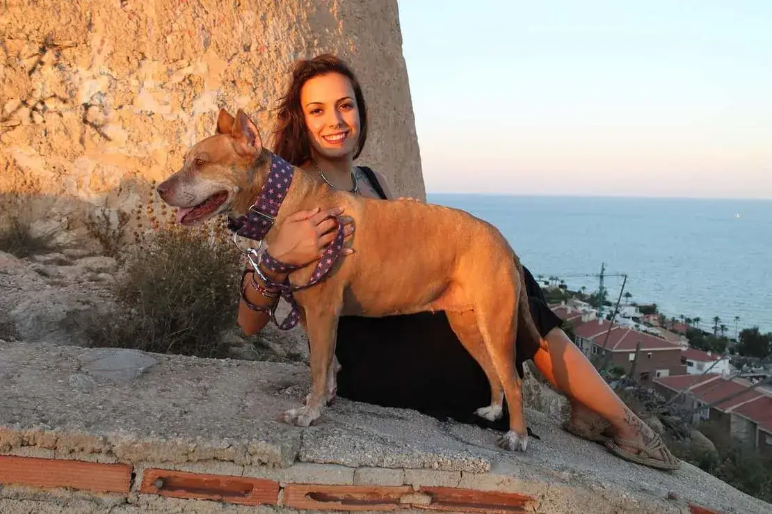 Kto to jest behawiorysta psi i jak może pomóc Twojemu psu?