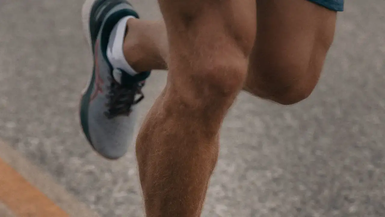 Todo sobre los músculos de la pierna: funciones y anatomía completa