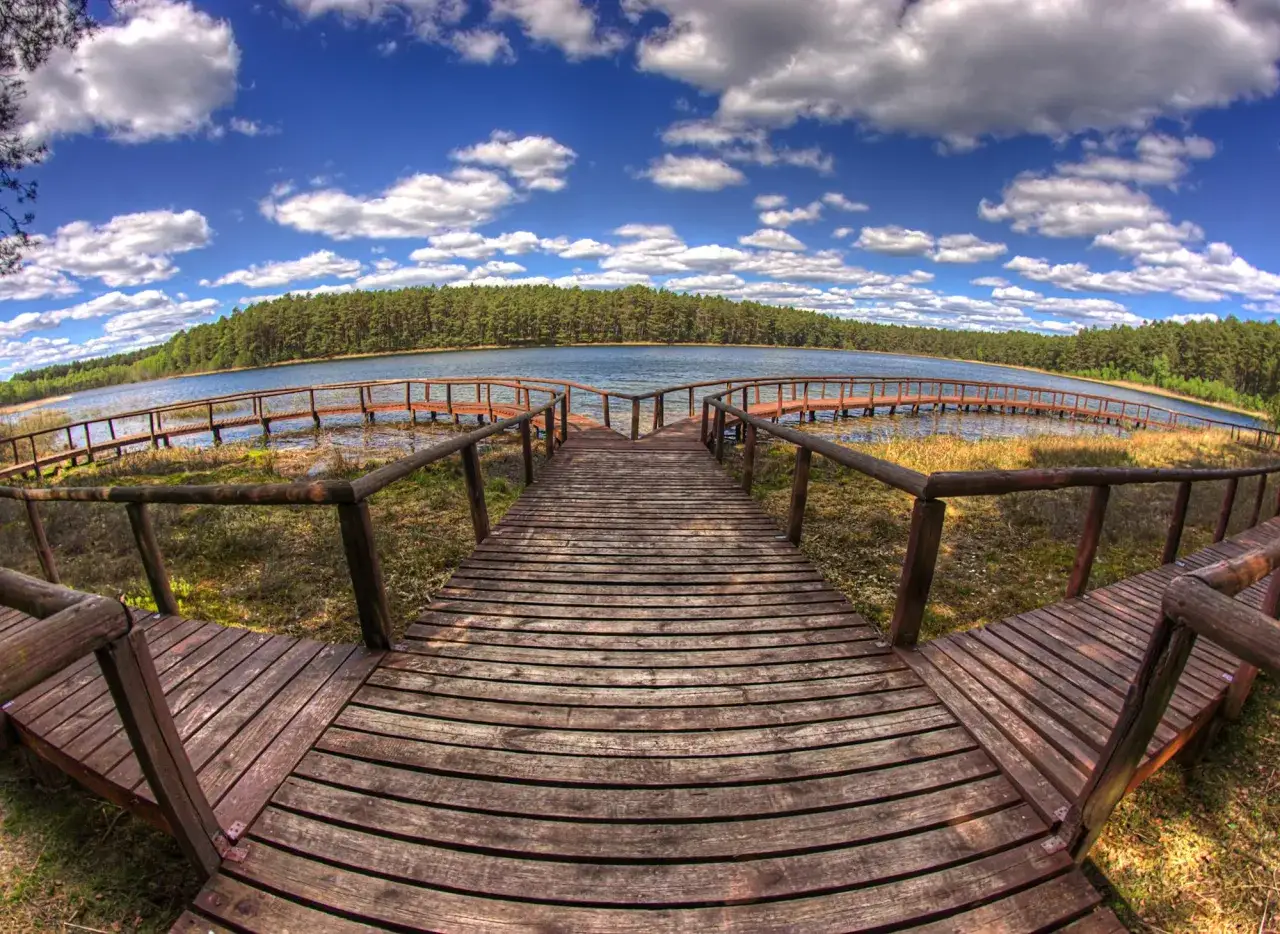 Bory Tucholskie gdzie leżą? Odkryj ich niezwykłą lokalizację w Polsce
