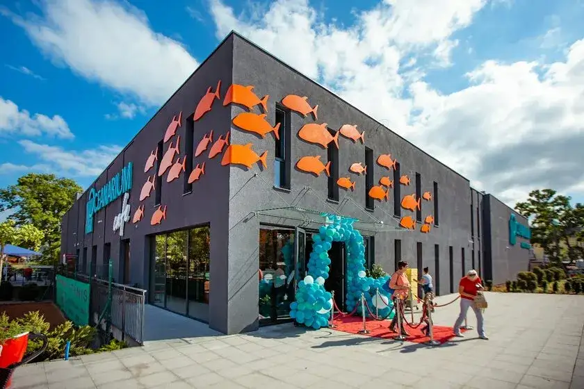 Oceanarium Międzyzdroje - fascynujące morskie stworzenia i atrakcje