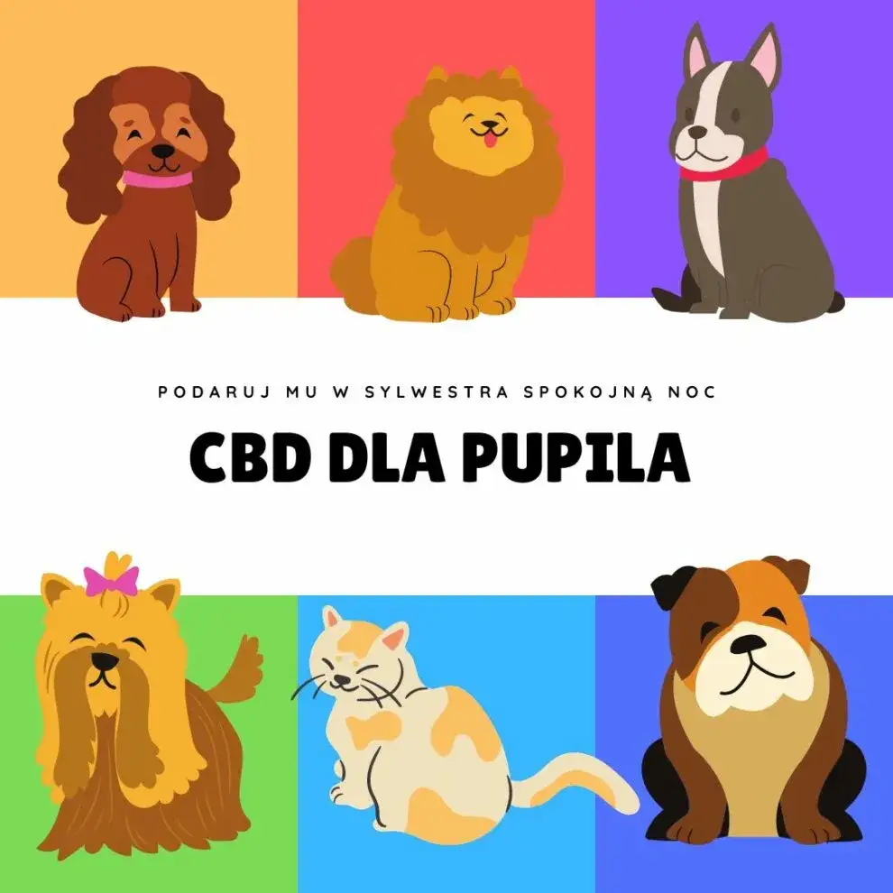 Jak uspokoić szczeniaka w nocy i uniknąć jego płaczu