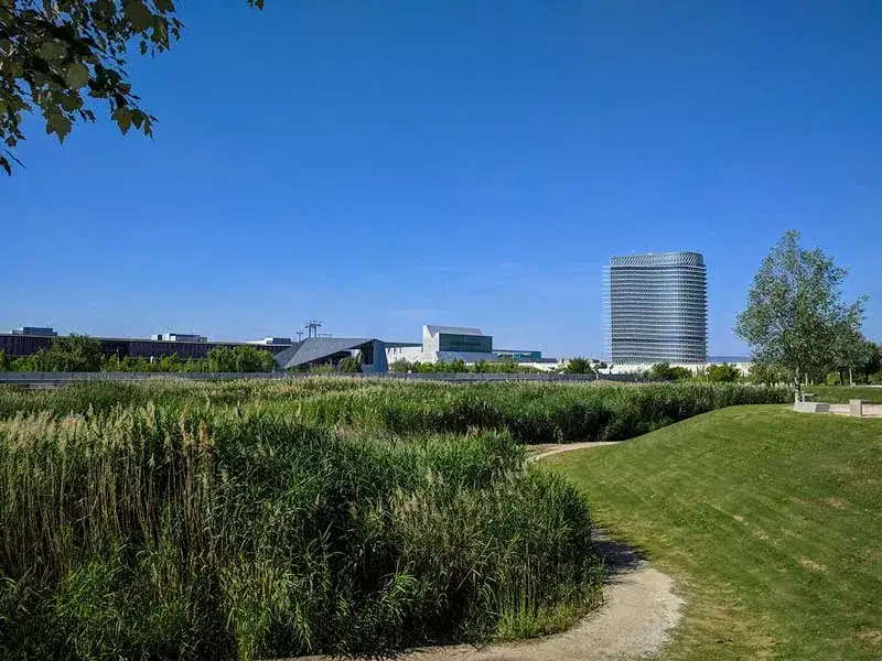 Explora el parque del agua Luis Buñuel: historia, actividades y más