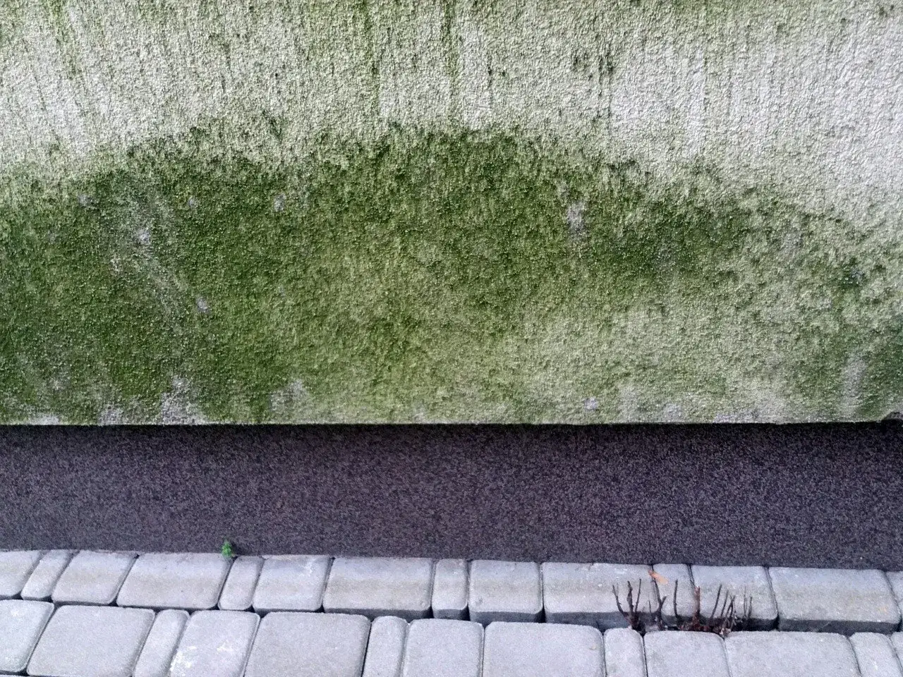 Jak skutecznie zmyć glony z elewacji? Sprawdzone metody i porady