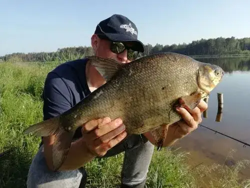 Jak zwabić ryby na łowisko - sprawdzone metody i najczęstsze błędy