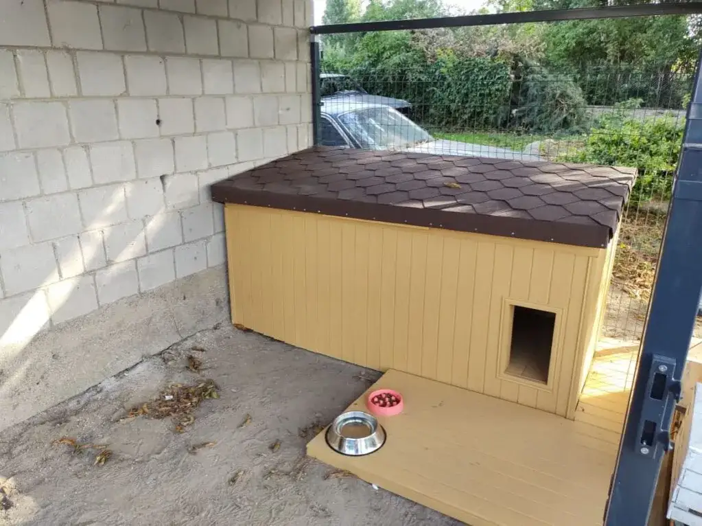 Jak zrobić ocieplaną budę dla psa, aby zapewnić mu komfort i ciepło