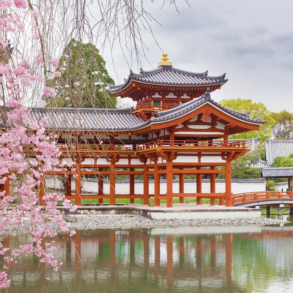 Kiedy jechać do Japonii? Najlepsze pory roku i atrakcje