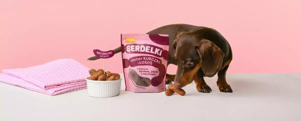 Czy pies może jeść parówki - prawda o szkodliwości i bezpiecznym karmieniu