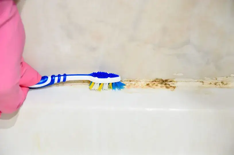 Jak usunąć pleśń z silikonu na oknie - skuteczne metody i porady