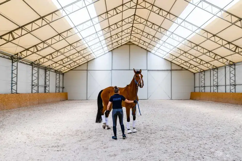 Hala jeździecka: Dlaczego warto wybrać ją na jazdę konną?
