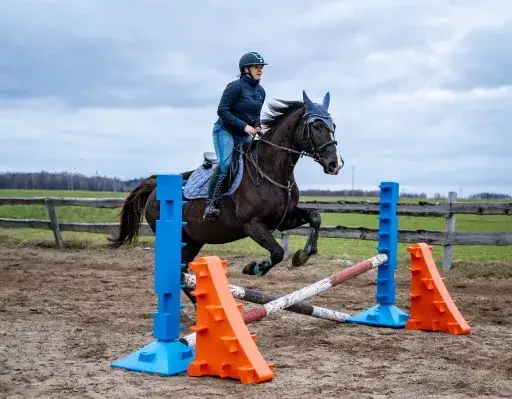 Przeszkody jeździeckie: jak wybrać najlepsze dla swojego treningu