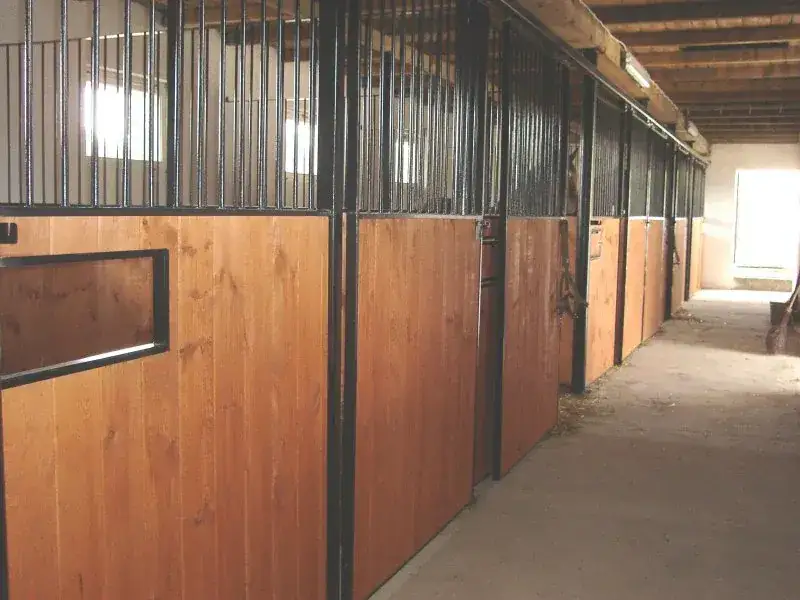 Stadnina koni Starachowice - wyjątkowe jazdy konne i agroturystyka