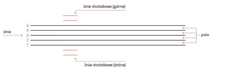 Jak pisać nuty: proste metody, które ułatwią tworzenie muzyki