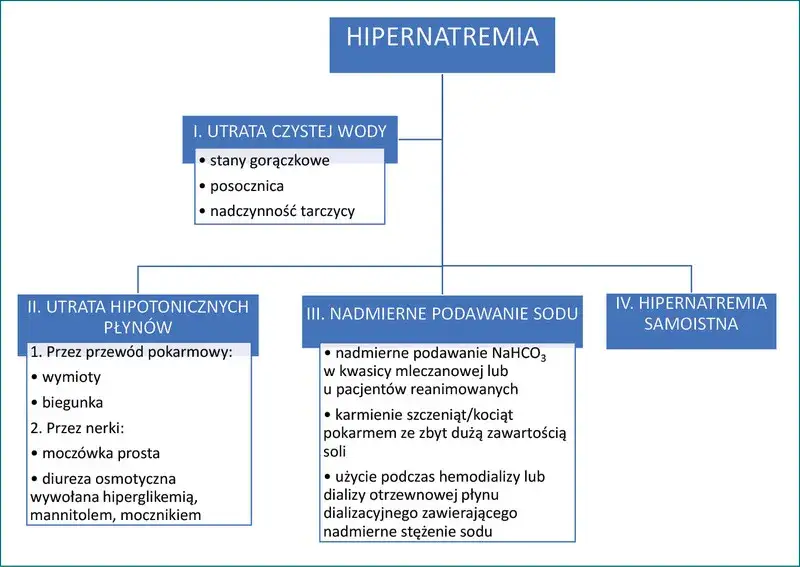 Niedobór potasu u kota: 7 objawów, przyczyny i leczenie poradnik