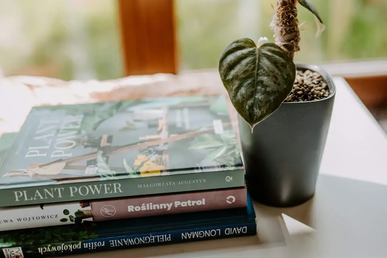 Jaki to kwiat książka - odkryj najlepsze przewodniki po roślinach