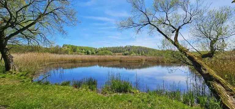 Najlepsze trasy rowerowe w Nysie: odkryj piękne szlaki i atrakcje