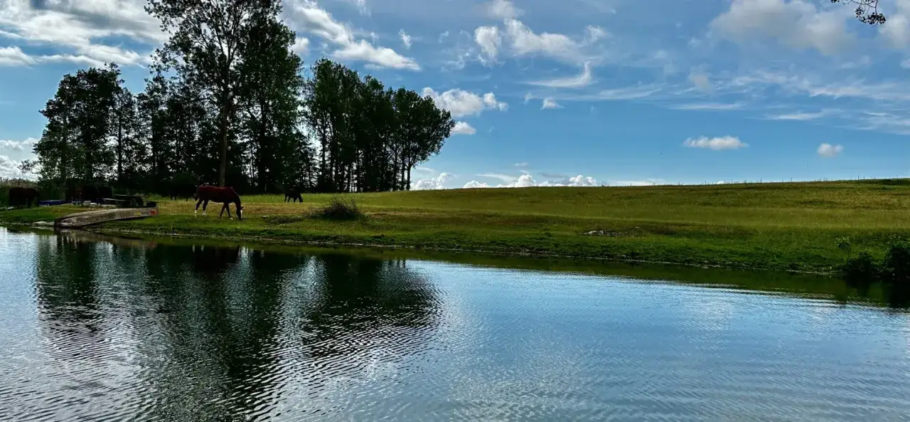 Konie pasące się nad jeziorem, łódź przy brzegu. Malownicze mazury atrakcje dla miłośników natury i spokoju.