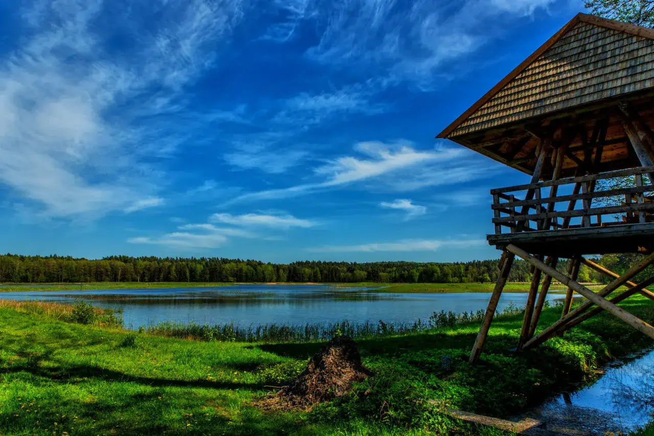 Najciekawsze atrakcje w woj lubelskim, które musisz zobaczyć