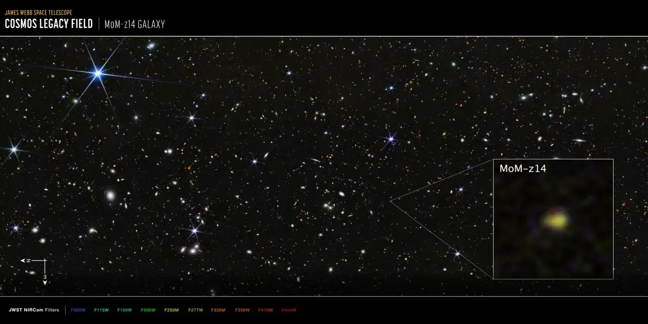 Pole kosmiczne z tysiącami galaktyk. W powiększeniu widoczna galaktyka MoM-z14, której jasność przypomina dekolt.
