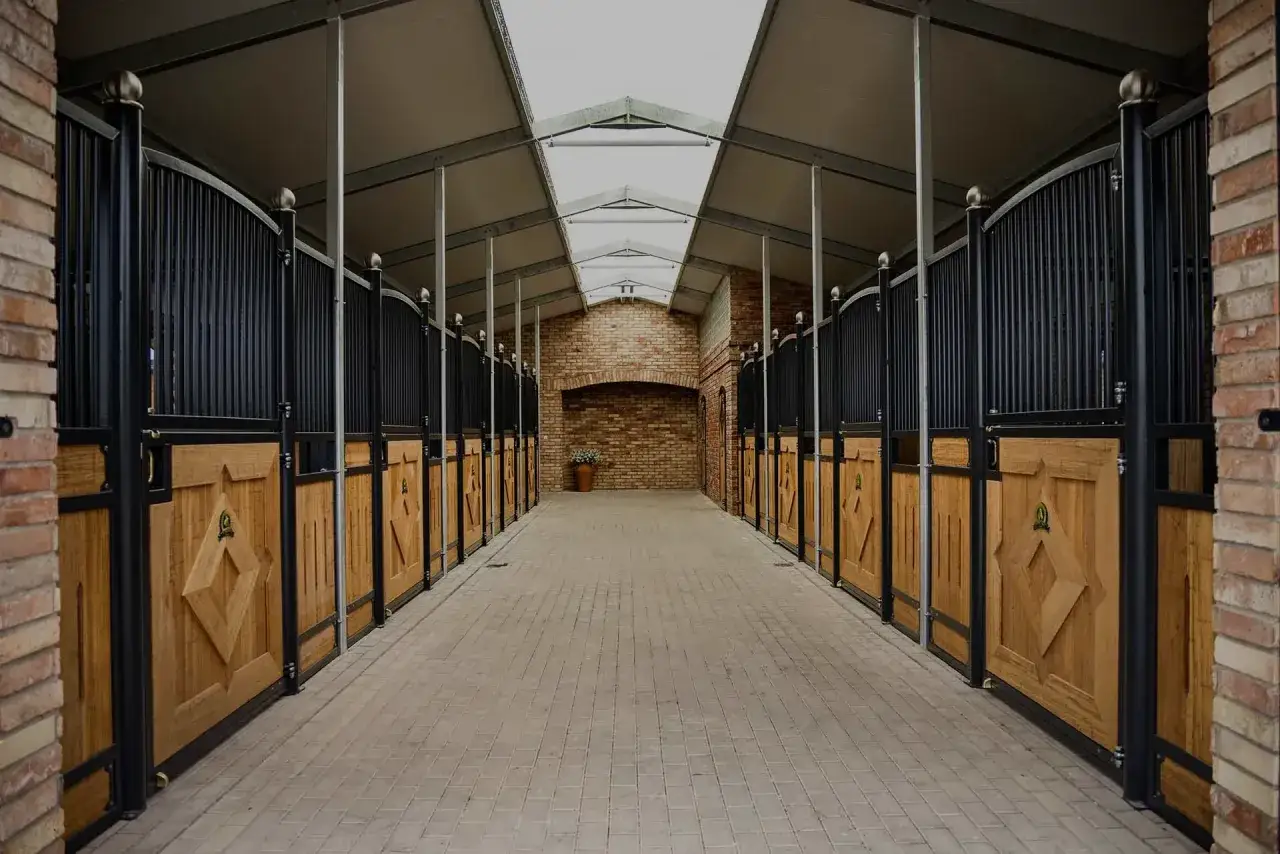 Boks dla konia: jak zbudować bezpiecznie i zgodnie z prawem? Poradnik