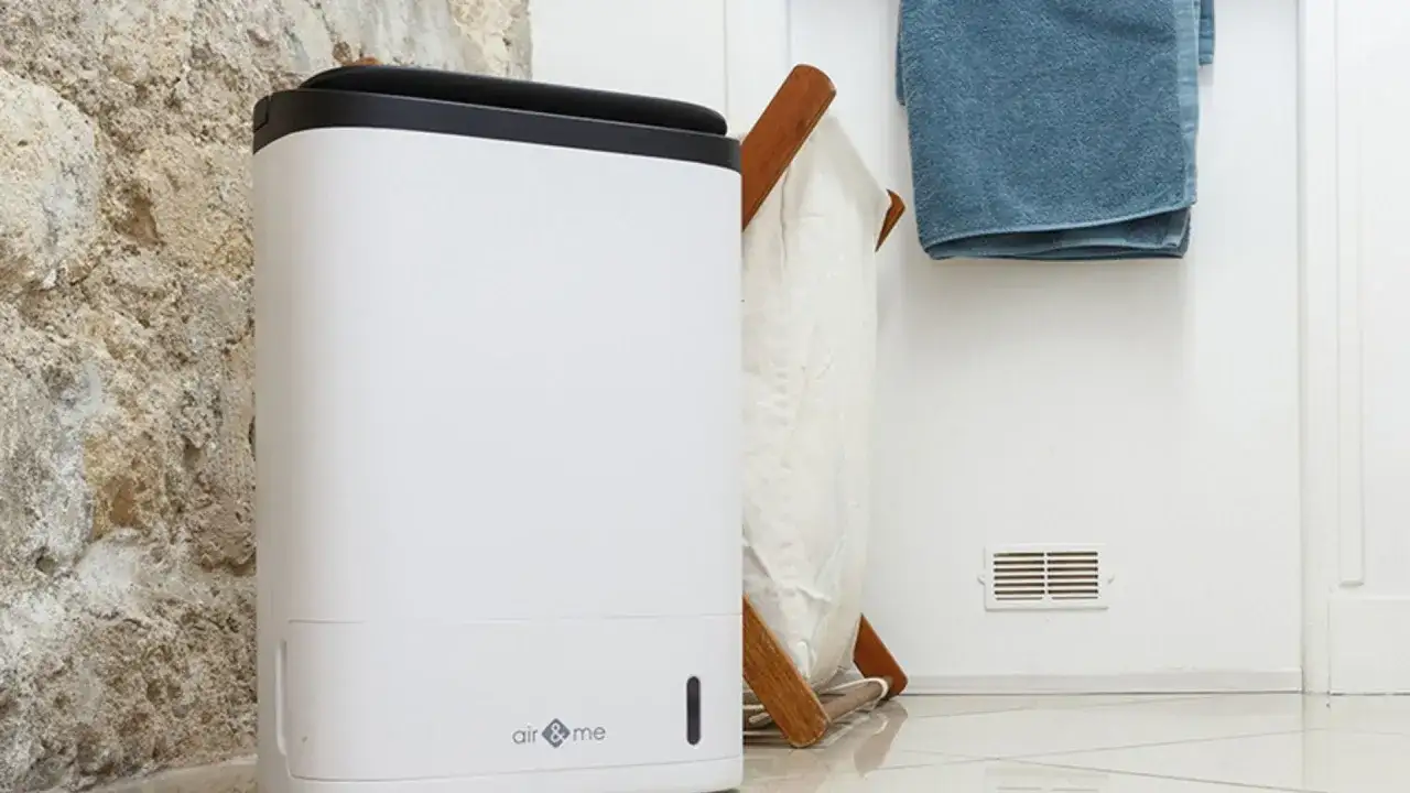 Jaki osuszacz powietrza do mieszkania wybrać, aby uniknąć wilgoci?
