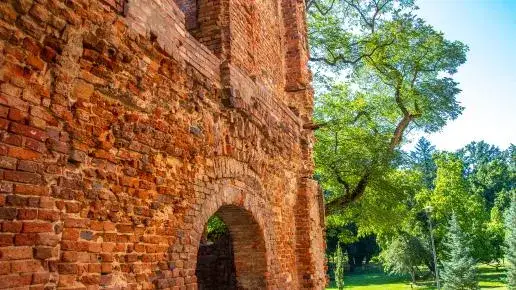 Atrakcje w Nowym Żmigrodzie, które musisz zobaczyć i przeżyć