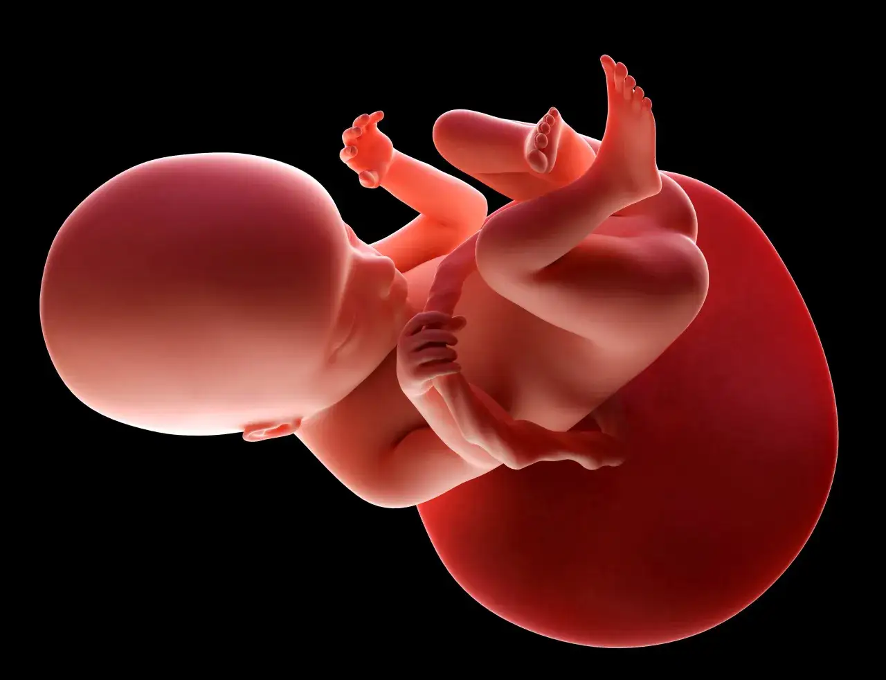 Ciąża i PTC: 18 dni nadziei? Jak odczytać wczesne sygnały