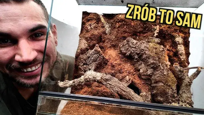 Jak zrobić tło do terrarium: proste metody i materiały, które zaskoczą