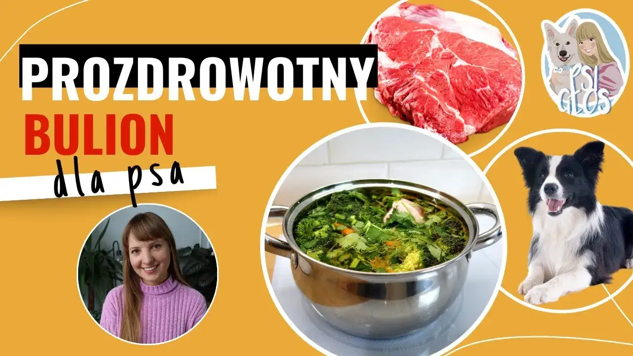 Bezpieczne zupy dla psa: Przepisy i składniki, których unikać
