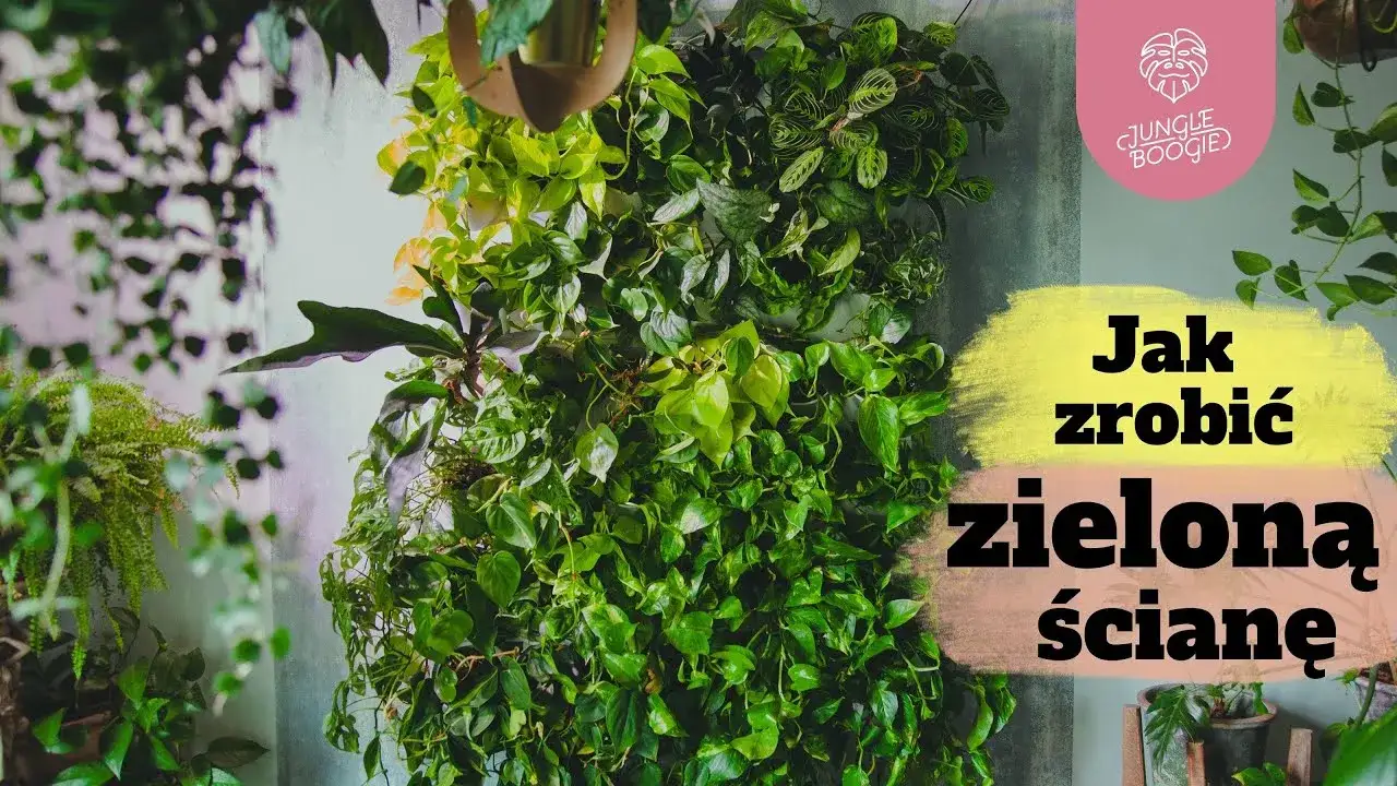 Jak zrobić zieloną ścianę z roślin i uniknąć najczęstszych błędów