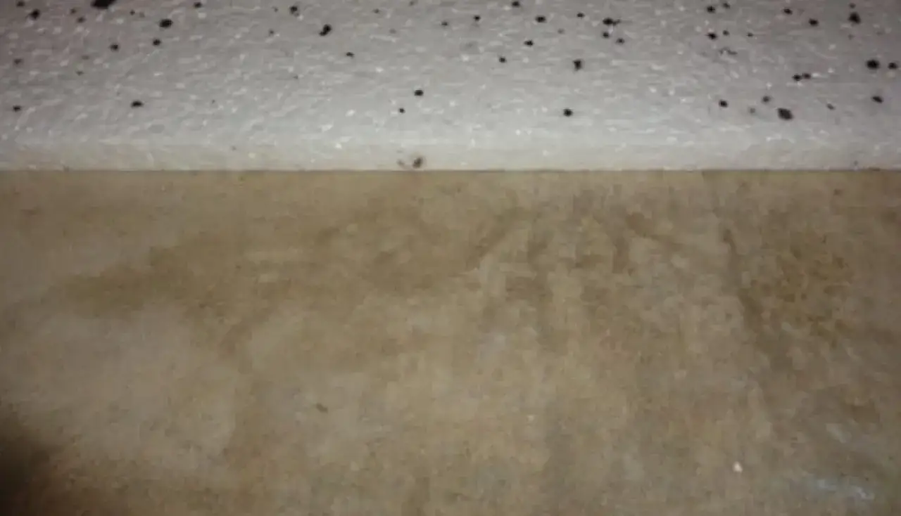 Ile schnie wylewka betonowa? Ekspert radzi, jak przyspieszyć!