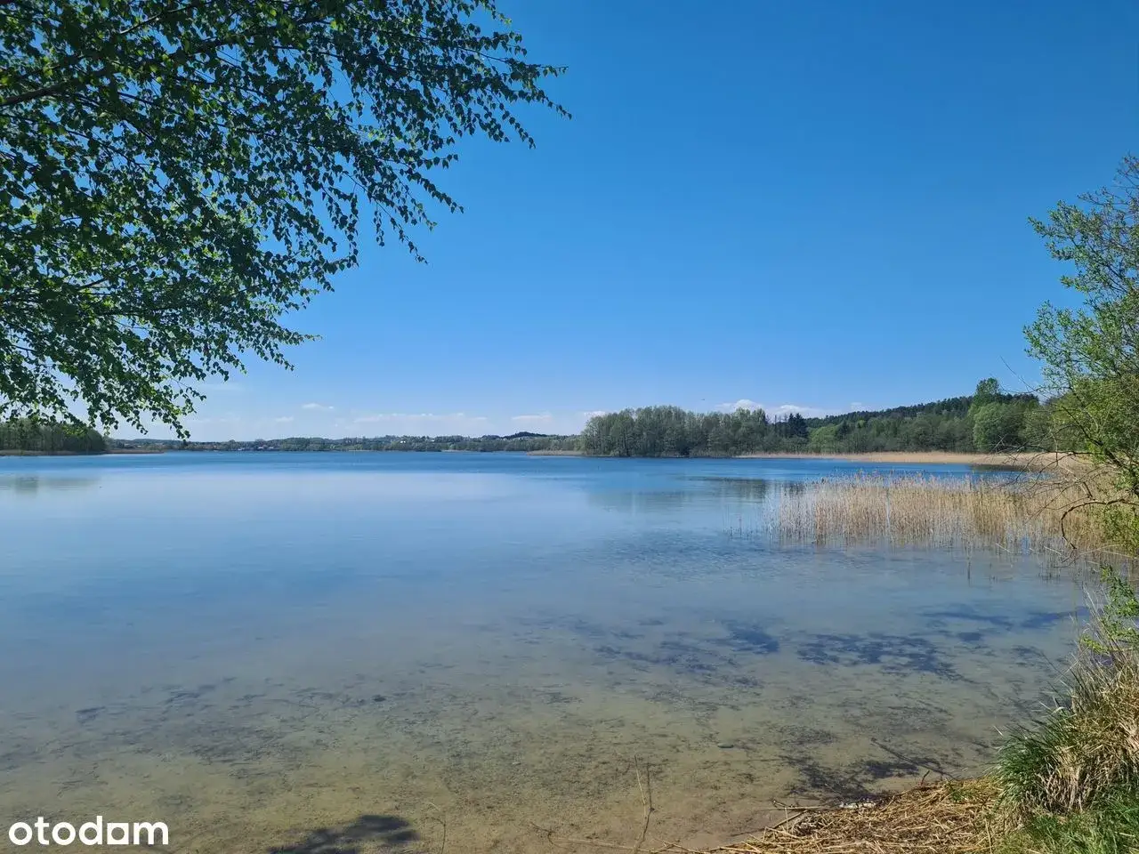 Działka nad jeziorem Pomorskie: kupuj mądrze! Uniknij pułapek.