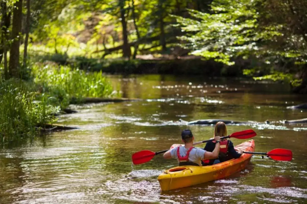 Spływ kajakowy Tarnowskie Góry - najlepsze trasy i wydarzenia dla rodzin