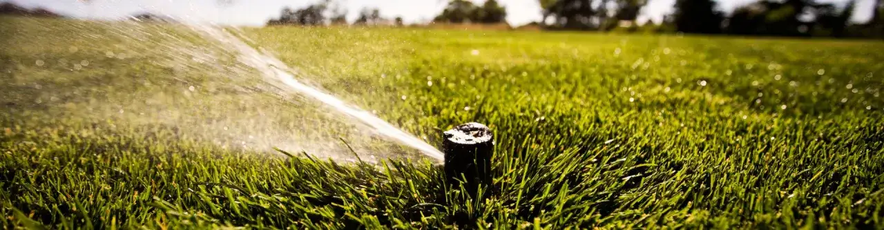 Jaki zraszacz wynurzalny wybrać, aby uniknąć problemów z nawadnianiem?