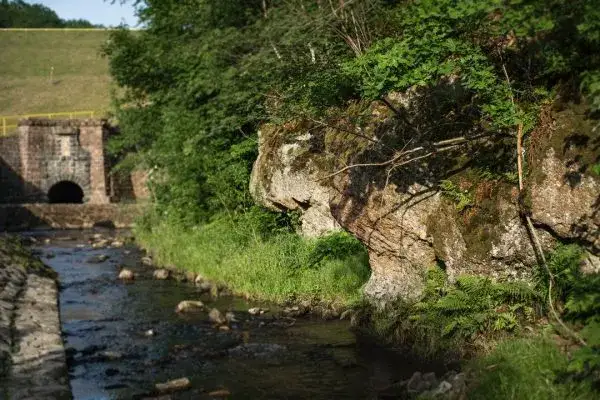 Najciekawsze atrakcje w Świerzawie, które musisz zobaczyć