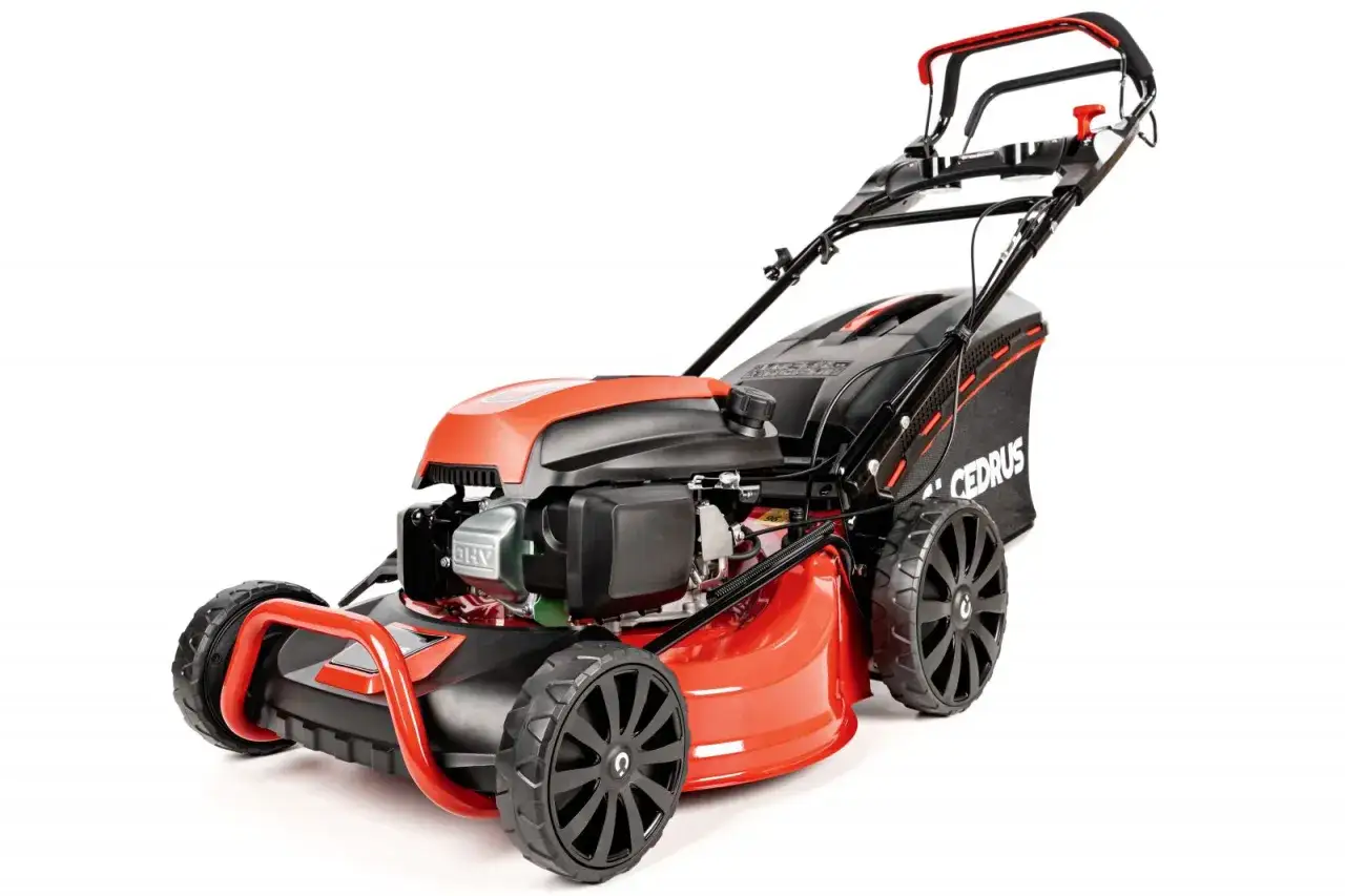 Kosiarka z napędem czy bez? Wybierz idealną dla Twojego ogrodu